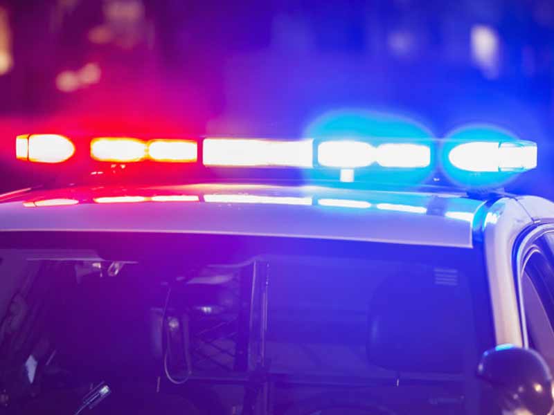 BIZARAN SLUČAJ ZA POLICIJU Kod muškarca (55) u stanu pronašli krokodila, majmuna i pitone