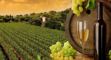 Hrvatska želi zaštititi nazive vina koje i BiH koristi
