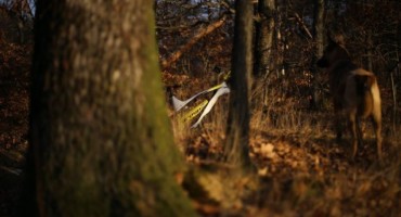 Rimac večeras predstavlja potpuno novi električni bicikl