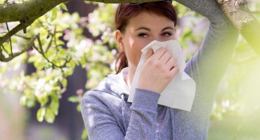  Suzne oči, maramice i šmrcanje - alergije su počele. Možemo li ih pobijediti domaćim medom? 