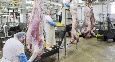 Klaonički otpad: Bh. građani lani pojeli 13,3 milijuna kg