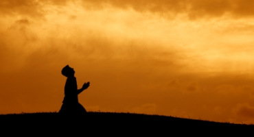 Miljenka Koštro: Priđi mu bliže