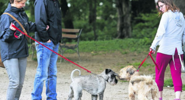 Šetnja je odličan izbor, no starijima sve više prijeti - ovo
