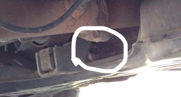 Foto/Video: Livnjaku Poskok Ušao U Automobil!