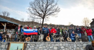 Rotvajler iz Tomislavgrada pobjednik Nacionalne izložbe pasa 'CAC Livno 2019.'