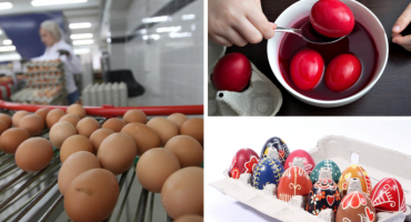  Savjeti za pripremu pisanica: Znate li kako prepoznati je li jaje svježe i na što treba paziti kod bojanja? 