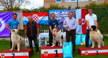 Pas 'Aga' pobjednik izložbe tornjaka u Tomislavgradu