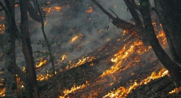 Livno: 68-godišnjak palio suhu travu pa zapalio susjedov objekt