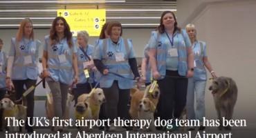 Ponuda aerodroma u Škotskoj: Milujte i mazite pse, izbacite stres