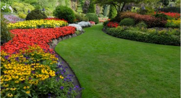 Mostar raspisao javni natječaj za izbor najljepše uređenog dvorišta