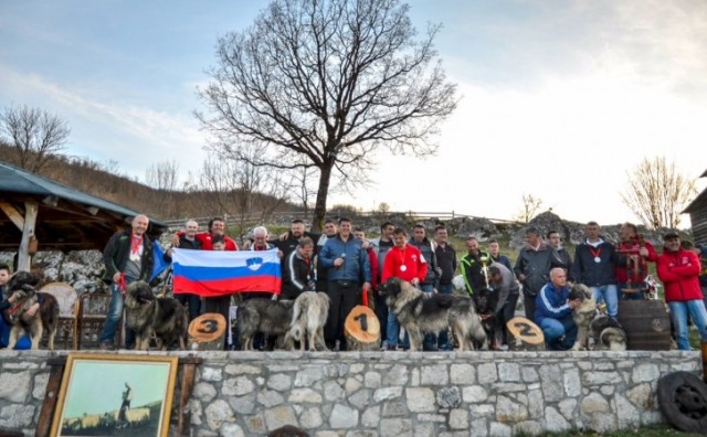 Rotvajler iz Tomislavgrada pobjednik Nacionalne izložbe pasa 'CAC Livno 2019.'