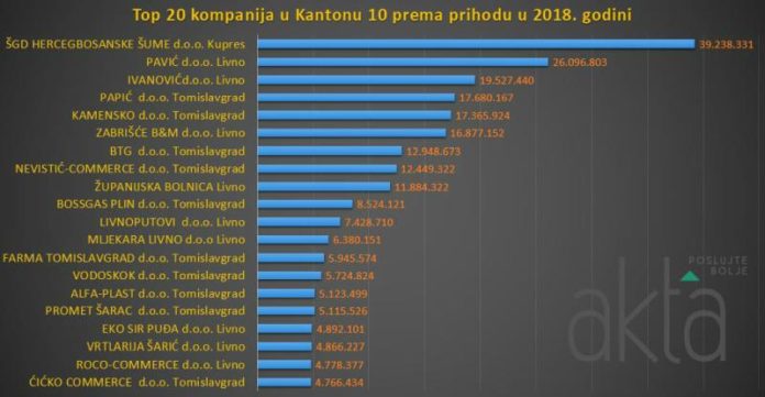 Top 20 tvrtki u HBŽ-u koje su ostvarile najveći prihod i dobit