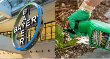 Bayer mora platiti dvije milijarde dolara odštete bračnom paru: Oboljeli od raka zbog herbicida?