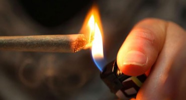 policija, marihuana, osumnjičeni, uhićeni, marihuana