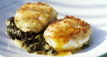 pohana jaja, byron talbott