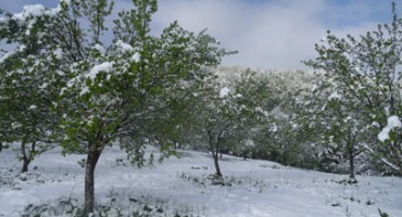 snijeg, BIH