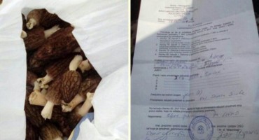 Livno: Policija Bugojancu oduzela gljive koje je ubrao u šumi