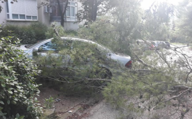 Jak vjetar u Mostaru lomio stabla, oštećeno nekoliko automobila 