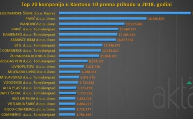 Top 20 tvrtki u HBŽ-u koje su ostvarile najveći prihod i dobit