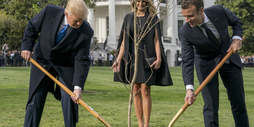 Nije izdržalo: Osušilo se drvo prijateljstva koje su posadili Macron i Trump