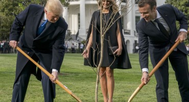 Nije izdržalo: Osušilo se drvo prijateljstva koje su posadili Macron i Trump