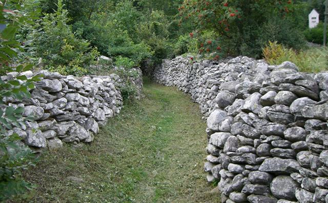 Miljenka Koštro