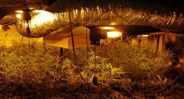 Pogledajte laboratorij droge koju je SIPA otkrila u Srpcu