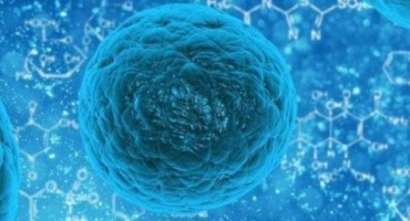 BBC: Superbakterije otporne na antibiotike šire se europskim bolnicama