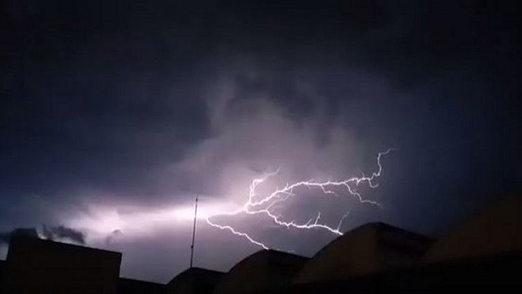 Grom udario u drvo, ono palo i ozlijedilo muškarca i ženu