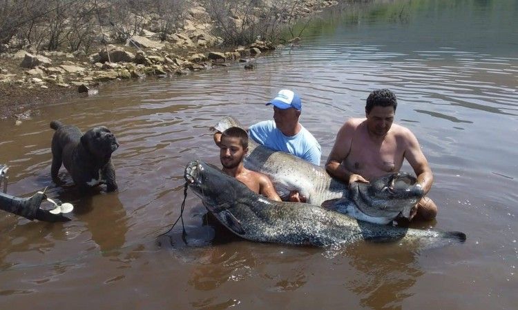 Bilećko jezero postaje najpoželjnija ribolovno turistička destinacija u BiH