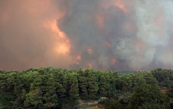 Amazonska prašuma u plamenu. Svijet ide prema katastrofi