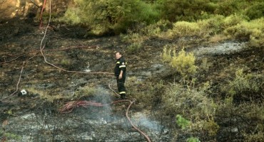U Grčkoj uključen crveni alarm zbog šumskih požara