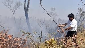 Predsjednik Bolivije izgubio se u džungli obilazeći požare