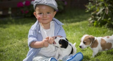 Djeca koja odrastaju s psima imat će manje mentalnih bolesti