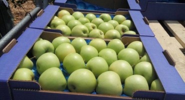 Poljoprivrednici iz hercegovačke regije zajedno mogu više