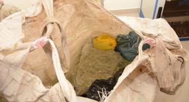 U Čitluku zaplijenjen skank u vrijednosti 5.000 eura, uhićen vlasnik zasada