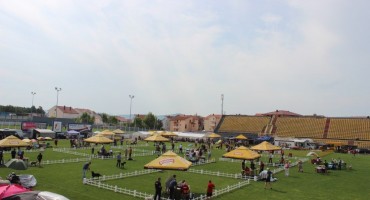 Otvorena najveća izložba pasa u BiH!