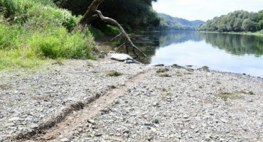 Uhićen, vozač, migranti