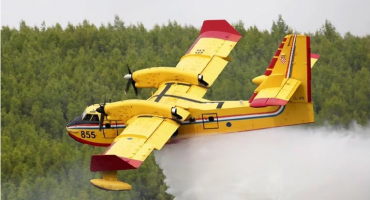 Lokaliziran požar kod Skradina, izgorjelo oko pet hektara borove šume