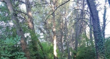 Džemal Kasumović: Čovjek koji je odlučio očistiti pluća grada Mostara