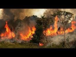 Amazona u plamenu: Aktivno tisuće požara, stanovnici Sao Paula bili u mraku zbog dima