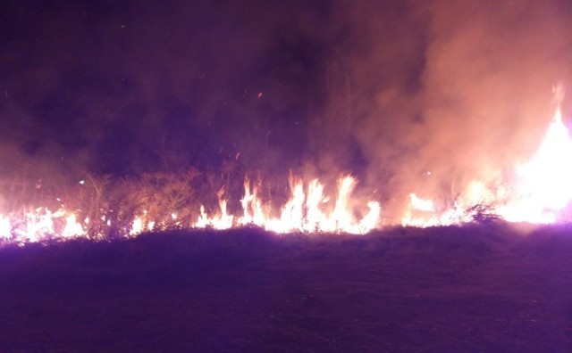 Veliki šumski požar kod Konjica