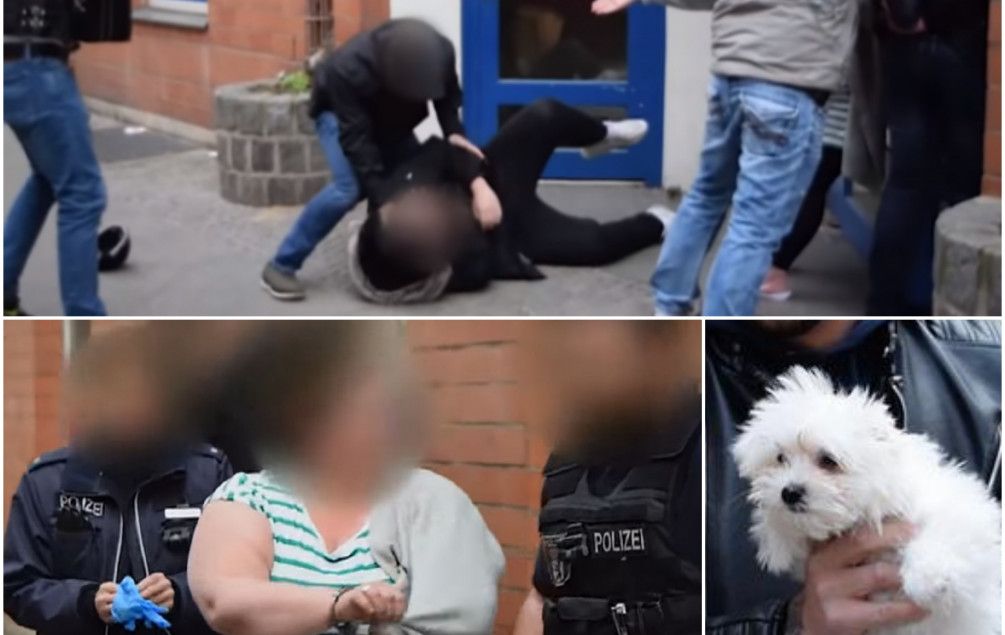 Psi krijumčareni iz BiH završavaju u bordelima