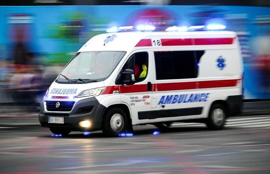 Žena htjela ubrati smokve pa je ugrizao poskok