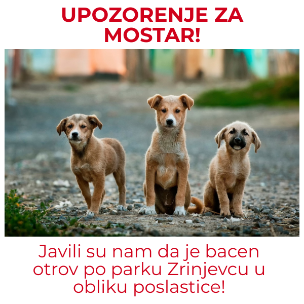 Upozorenje za Mostar: U parku bačen otrov za pse