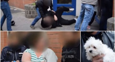 Psi krijumčareni iz BiH završavaju u bordelima