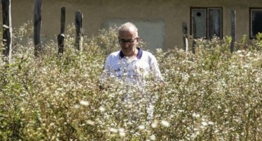 ilidža, kemal habibija