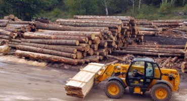 direktor, obiteljski biznis