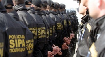 direktor, Sipa, Sipa