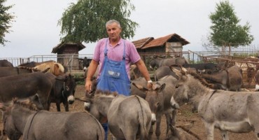 poljoprivrednik , magarci